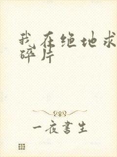 我在绝地求生捡碎片