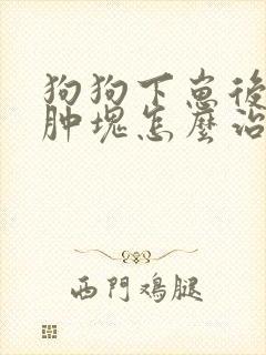 狗狗下崽后乳房肿块怎么治疗