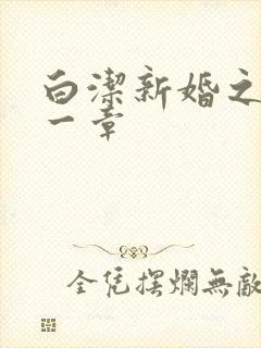 白洁新婚之夜第一章