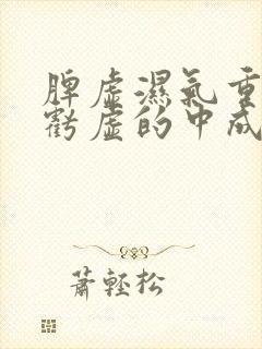 脾虚湿气重肾精亏虚的中成药