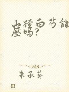 山楂白芍能降血压吗?封面
