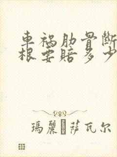 车祸肋骨断了三根要赔多少钱