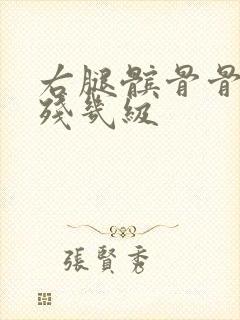 右腿髌骨骨折评残几级