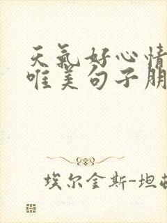 天气好心情好的唯美句子朋友圈短句