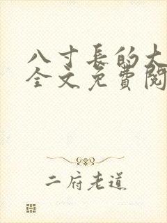 八寸长的大宝贝全文免费阅读封面