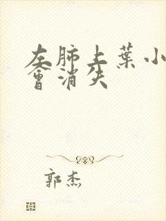 左肺上叶小结节会消失