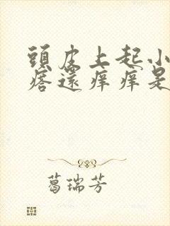 头皮上起小红疙瘩还痒痒是什么原因