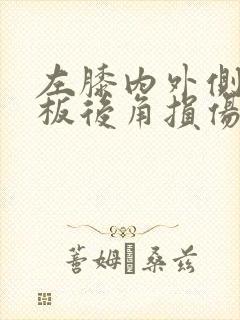 左膝内外侧半月板后角损伤