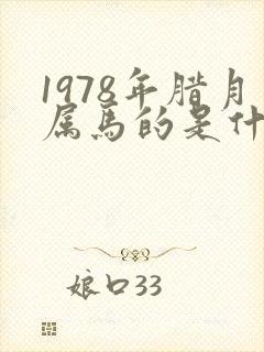 1978年腊月属马的是什么命