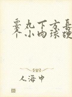 睾丸下方长了一个小肉球硬硬的
