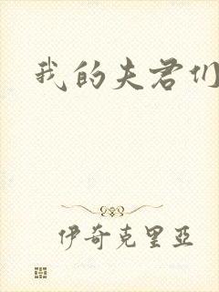 我的夫君们