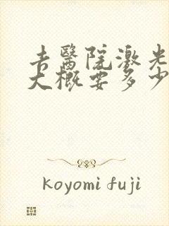 去医院激光脱毛大概要多少钱