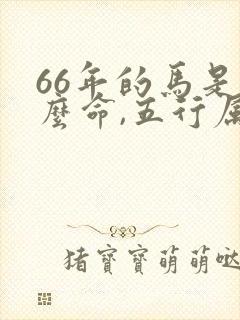 66年的马是什么命,五行属性
