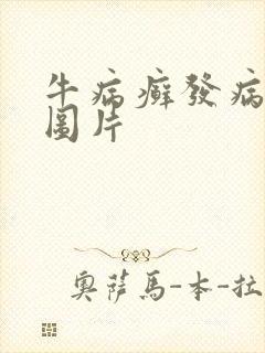 牛病癣发病初期图片