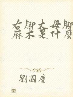 右脚大母脚趾头麻木是什么原因封面