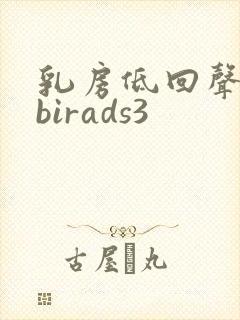 乳房低回声结节birads3