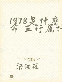 1978是什么命 五行属什么