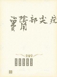 治阴部尖疣湿锐费用