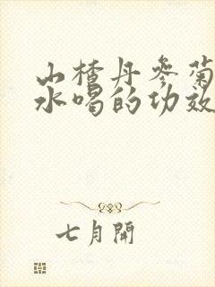 山楂丹参菊花泡水喝的功效