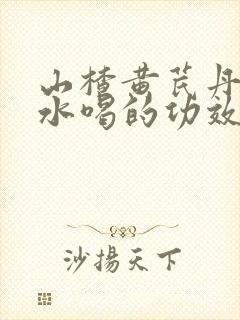 山楂黄芪丹参泡水喝的功效和作用
