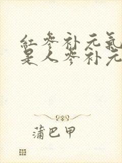 红参补元气好还是人参补元气好
