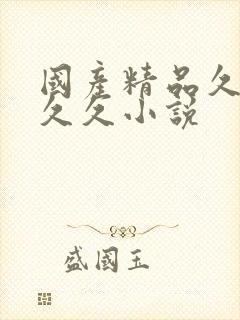 国产精品久久久久久小说