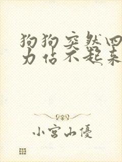 狗狗突然四肢无力站不起来怎么回事