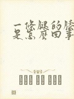 一条腿的膝盖疼是怎么回事封面