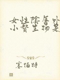 女性阴唇外面起小赘生物是怎么回事