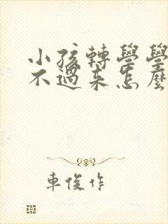 小孩转学学籍转不过来怎么办