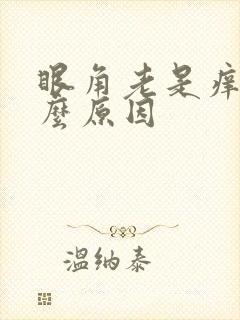 眼角老是痒是什么原因