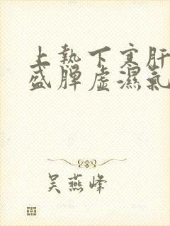 上热下寒肝火旺盛脾虚湿气重吃什么药