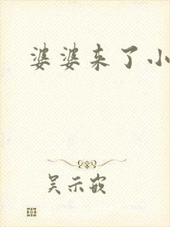 婆婆来了小说