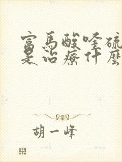 富马酸喹硫平片是治疗什么的