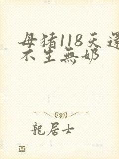 母猪118天还不生无奶