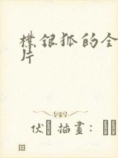 朴银狐的全部影片