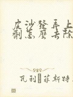 皮沙发弄上染发剂怎么去除封面