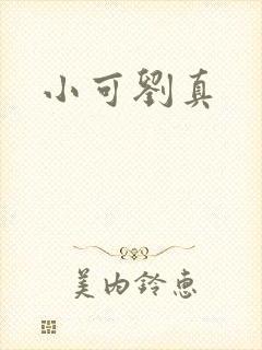 小可刘真封面