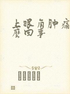 上眼角肿痛是怎么回事封面