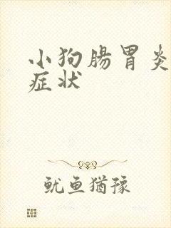 小狗肠胃炎什么症状