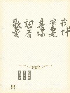 歌词其实我真的爱着你是什么歌