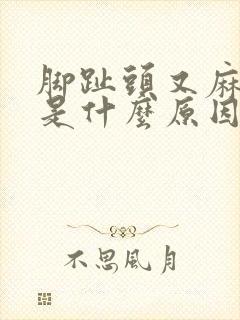 脚趾头又麻又痛是什么原因封面