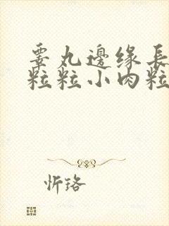 睾丸边缘长了一粒粒小肉粒