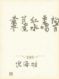黄芪红枣枸杞党参煮水喝有什么效果