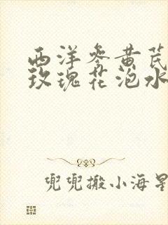 西洋参黄芪麦冬玫瑰花泡水喝的功效与作用