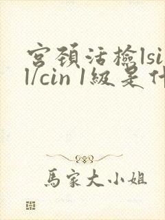 宫颈活检lsil/cin 1级是什么意思?