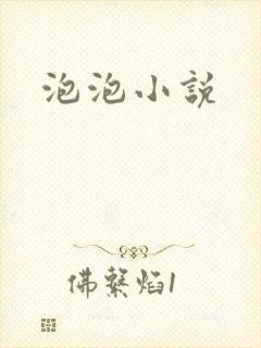 泡泡小说