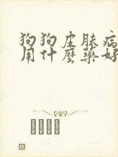 狗狗皮肤病洗澡用什么药好封面