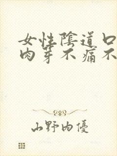 女性阴道口长了肉芽不痛不痒怎么回事