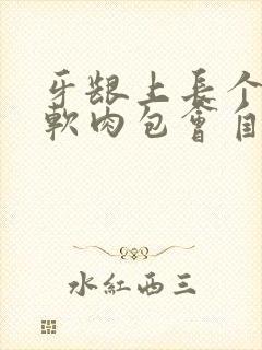 牙龈上长个红色软肉包会自己消吗